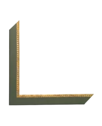 VPM 559-04 - 1